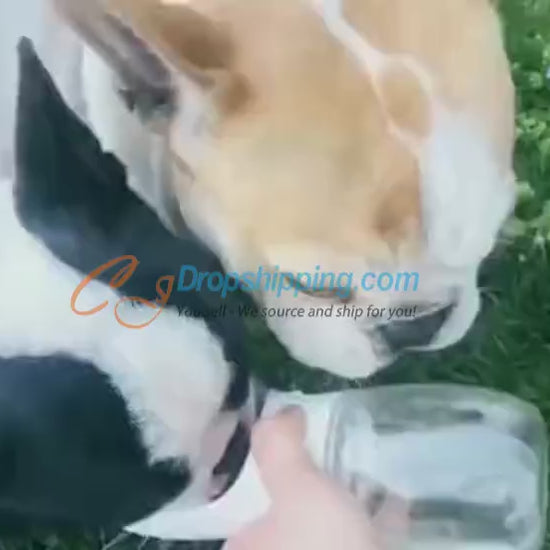 Dog Drinking Bottle